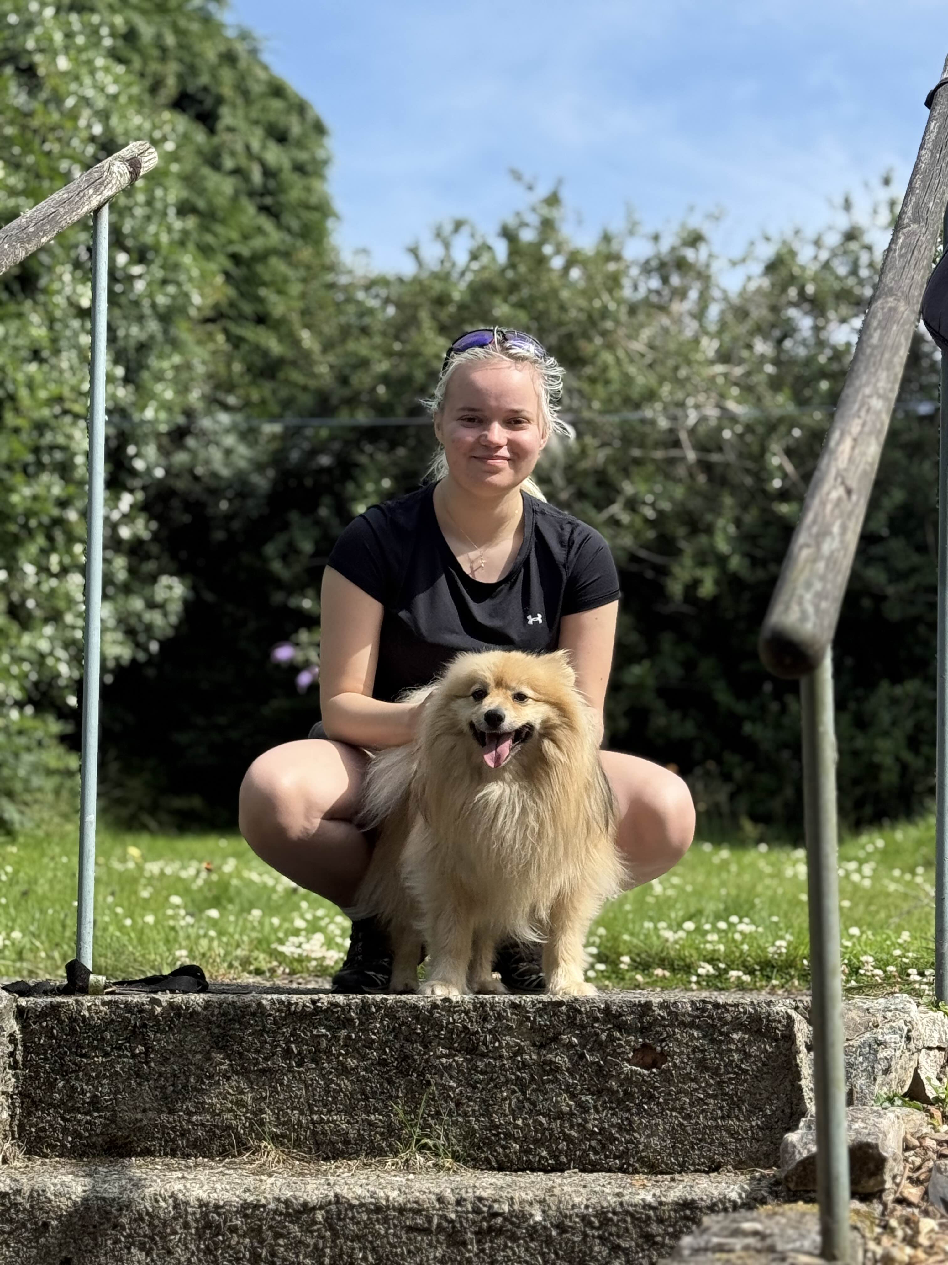 Dog Training Image 1